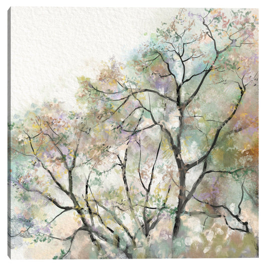 Sueño de verano - Studio Arts