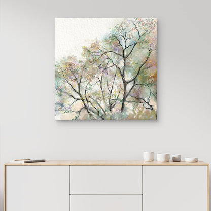 Sueño de verano - Studio Arts