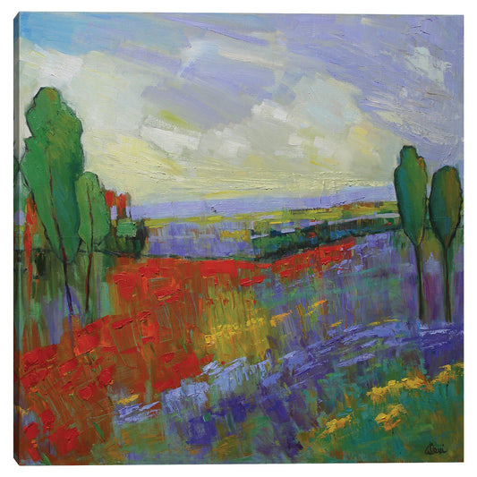 Valle de Poppy Field - Alexi Fine