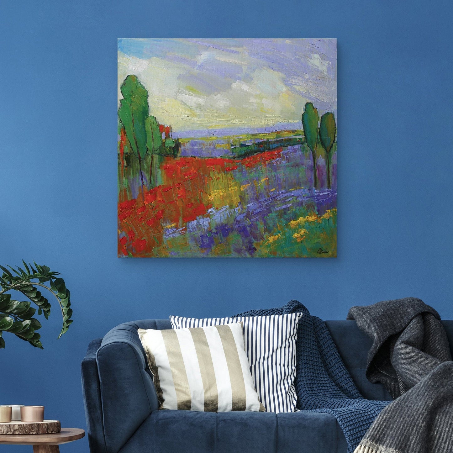 Valle de Poppy Field - Alexi Fine