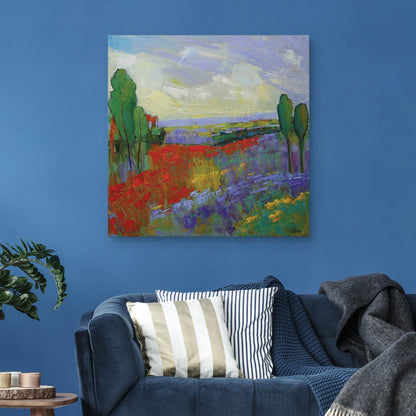 Valle de Poppy Field - Alexi Fine