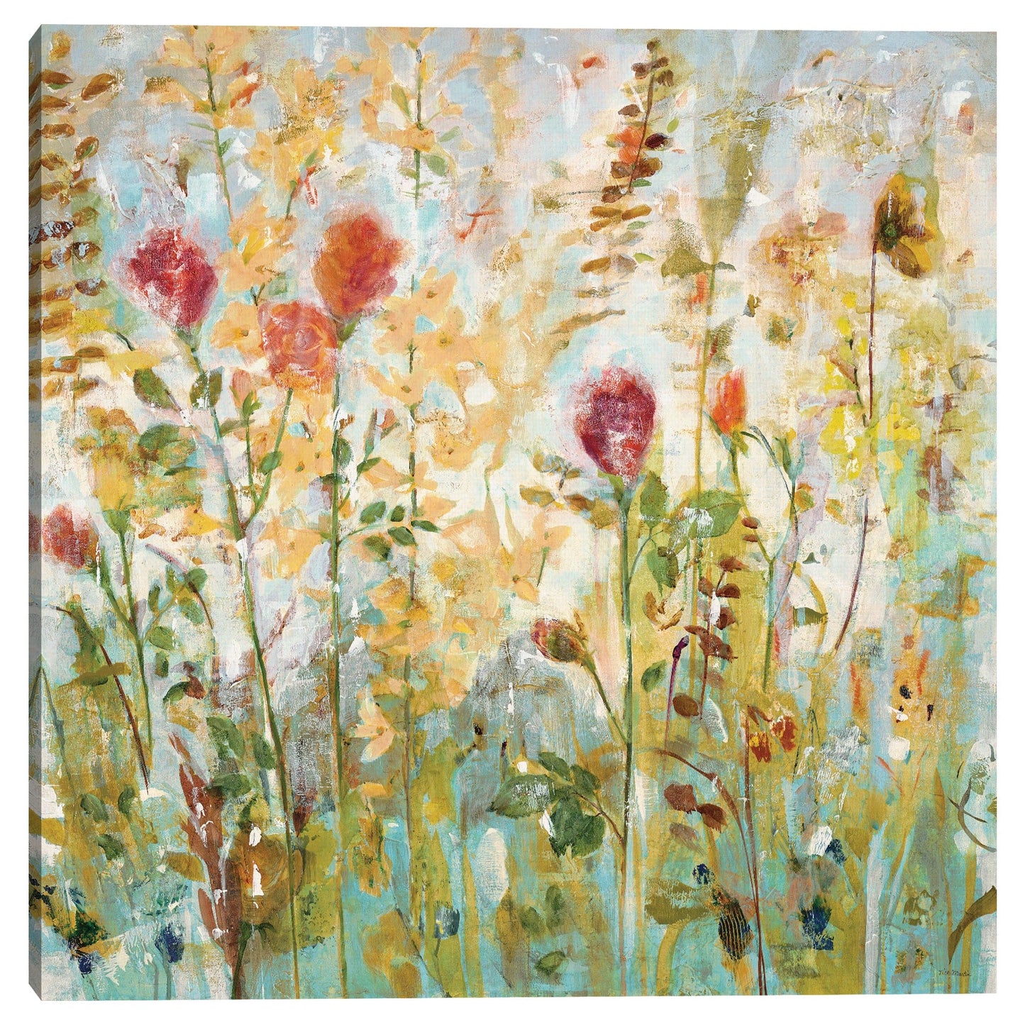 Jardin de flores silvestres - Jill Martin