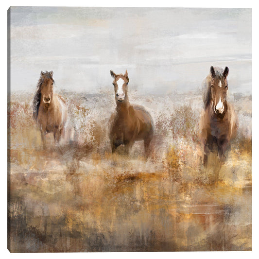 Plaza del Rebaño de la Mañana - Studio Arts