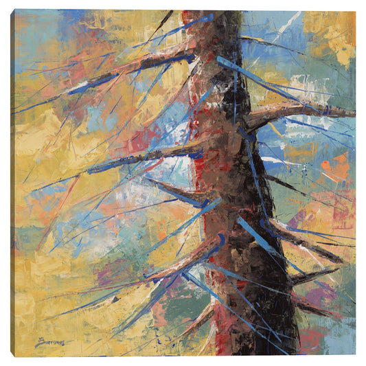 Coniferas coloridas - John Burrows