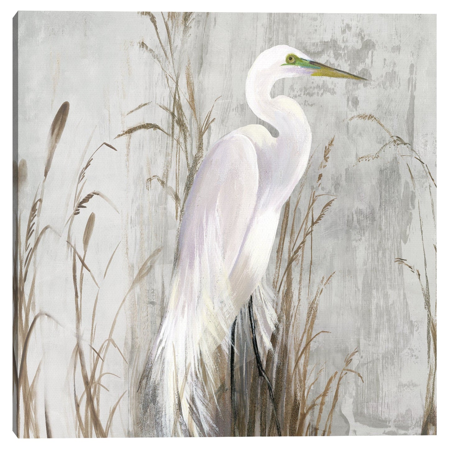 Garza en los juncos  - Aimee Wilson