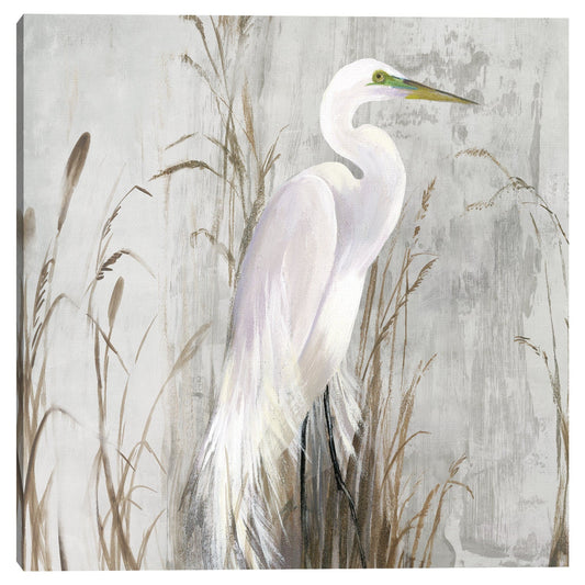 Garza en los juncos  - Aimee Wilson