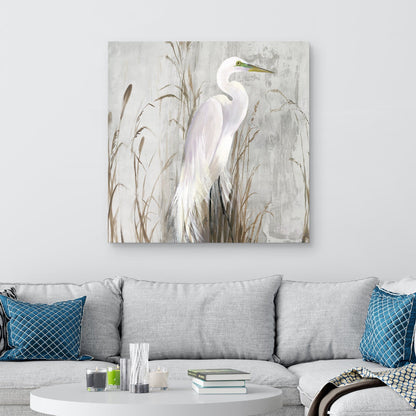 Garza en los juncos  - Aimee Wilson