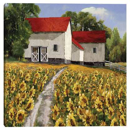 Camino de los girasoles - Mark Chandon