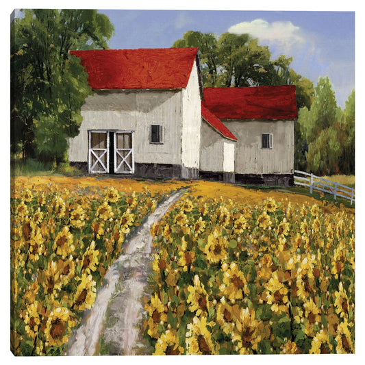 Camino de los girasoles - Mark Chandon