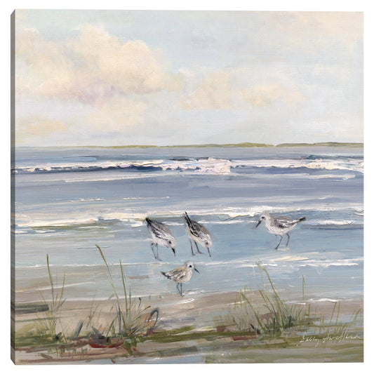 De playa en playa - Sally Swatland