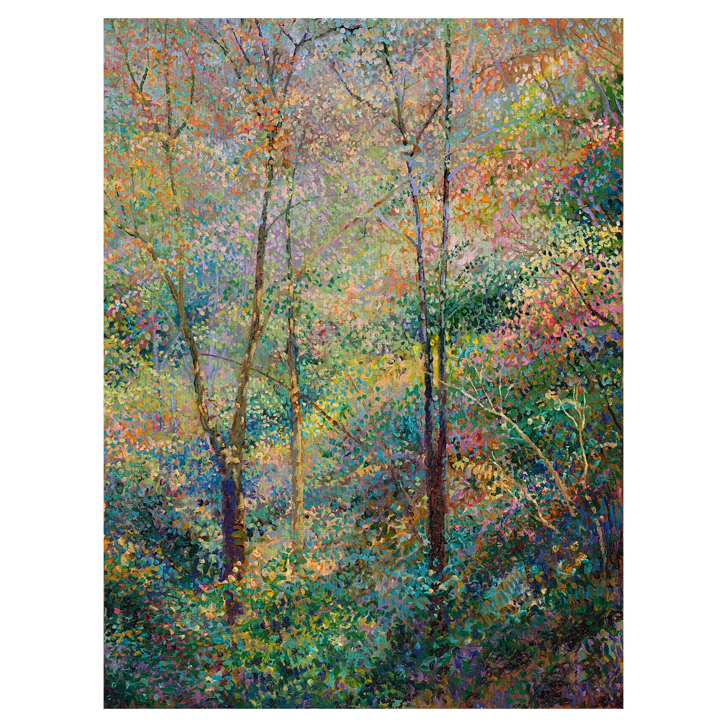 Primavera - Stephen Henning