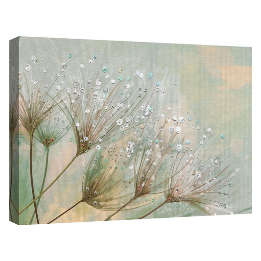 Colores de gota de rocio - Studio Arts