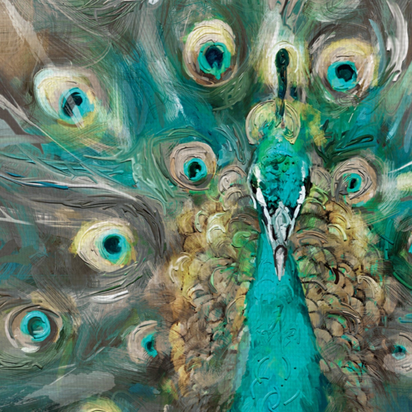 Peacock Colors - Studio Arts