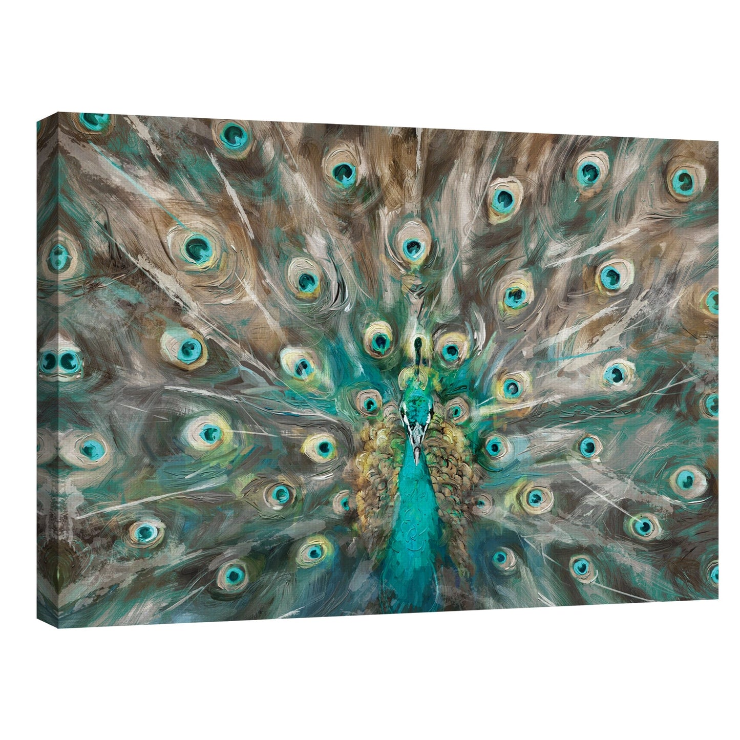Peacock Colors - Studio Arts