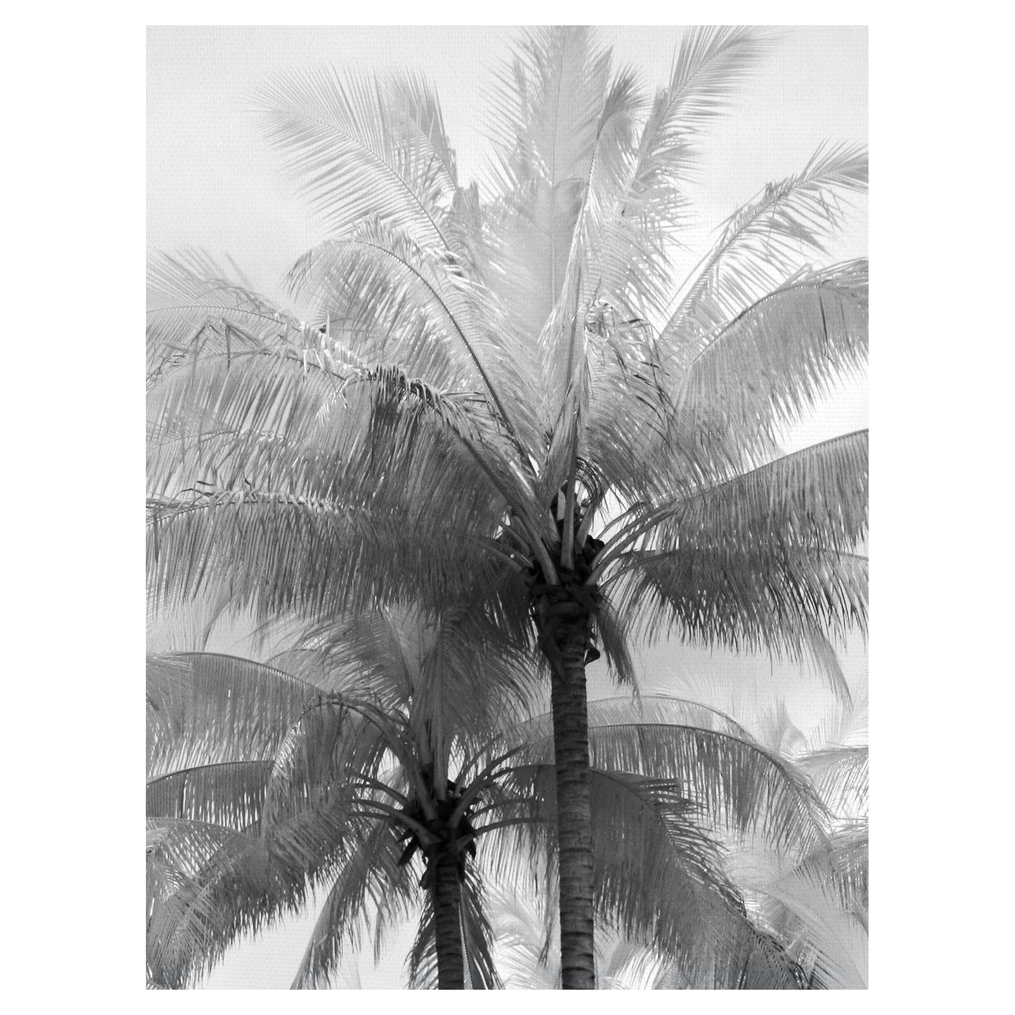 Enfoque de kerala - Bill Philip