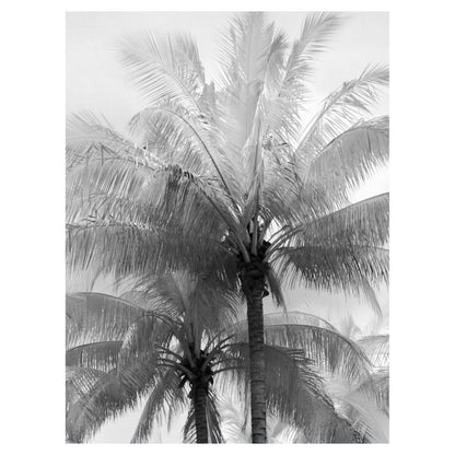 Enfoque de kerala - Bill Philip