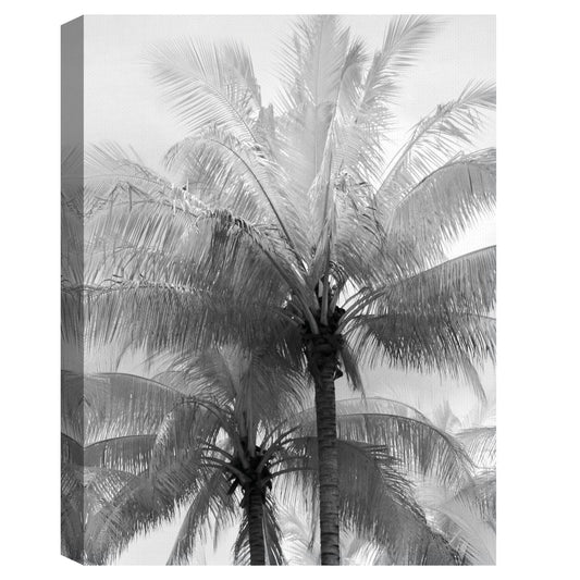 Enfoque de kerala - Bill Philip