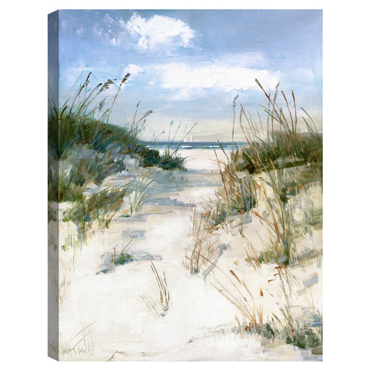 Vista de las dunas - Sally Swatland