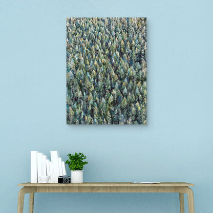 Alto Natural - Studio Arts