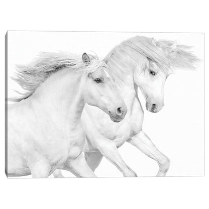 Duo I - Samantha Carter