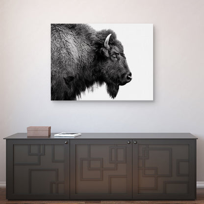 Perfil de búfalo en blanco y negro - Belle Maison