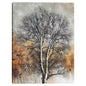 Metales preciosos - Sandy Doonan