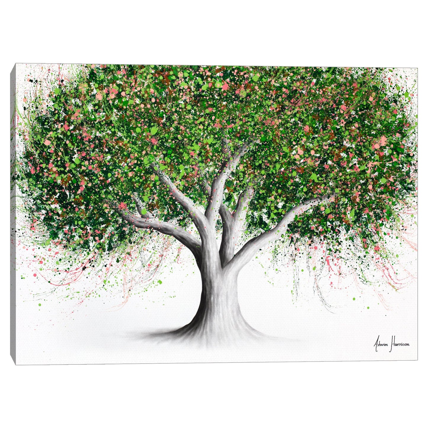 Manzano Real - Ashvin Harrison
