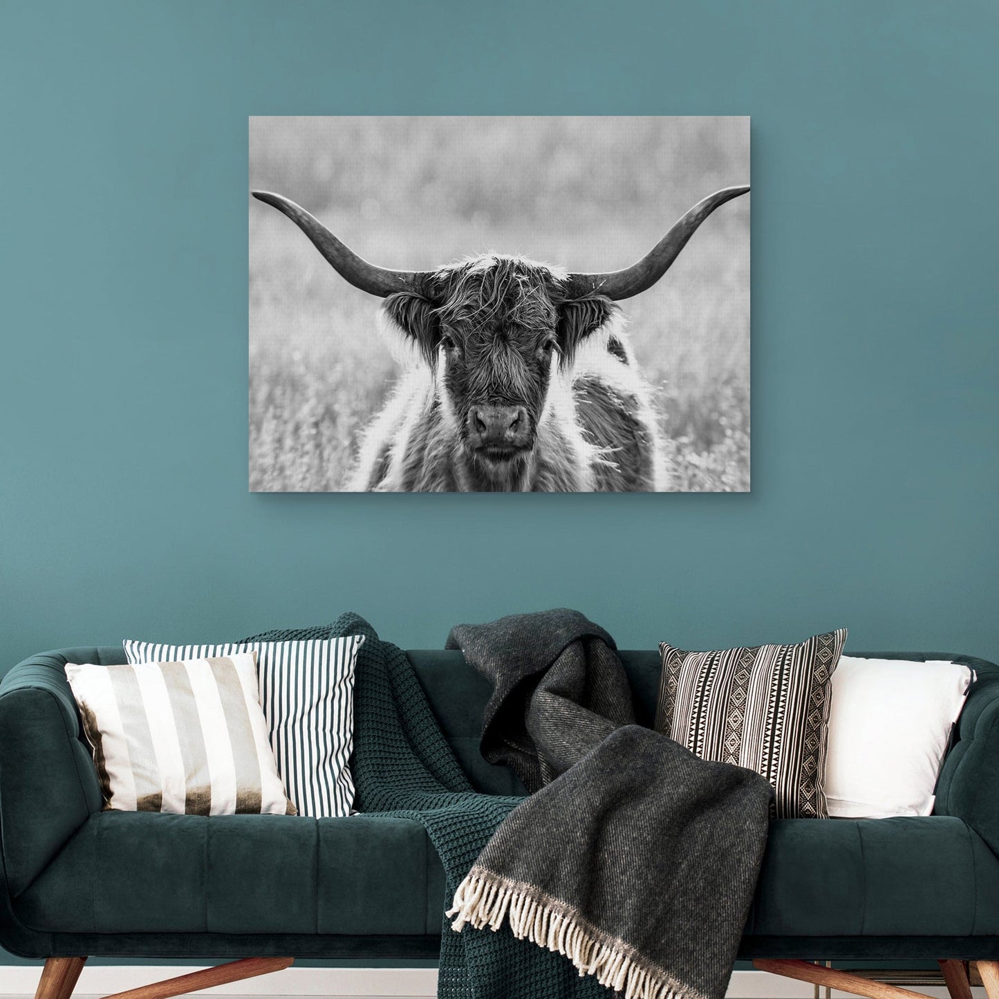 Retrato de longhorn - Panoramic Images