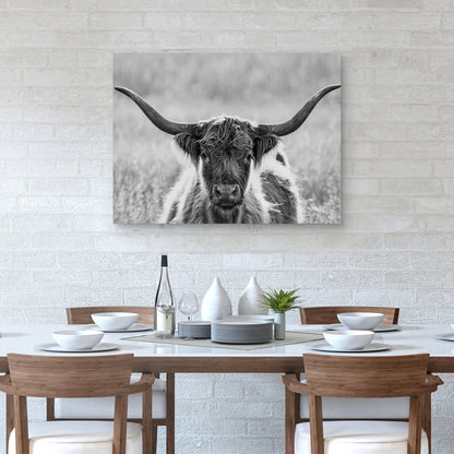 Retrato de longhorn - Panoramic Images