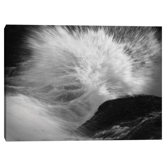 El destino del oceano - Mark Timothy