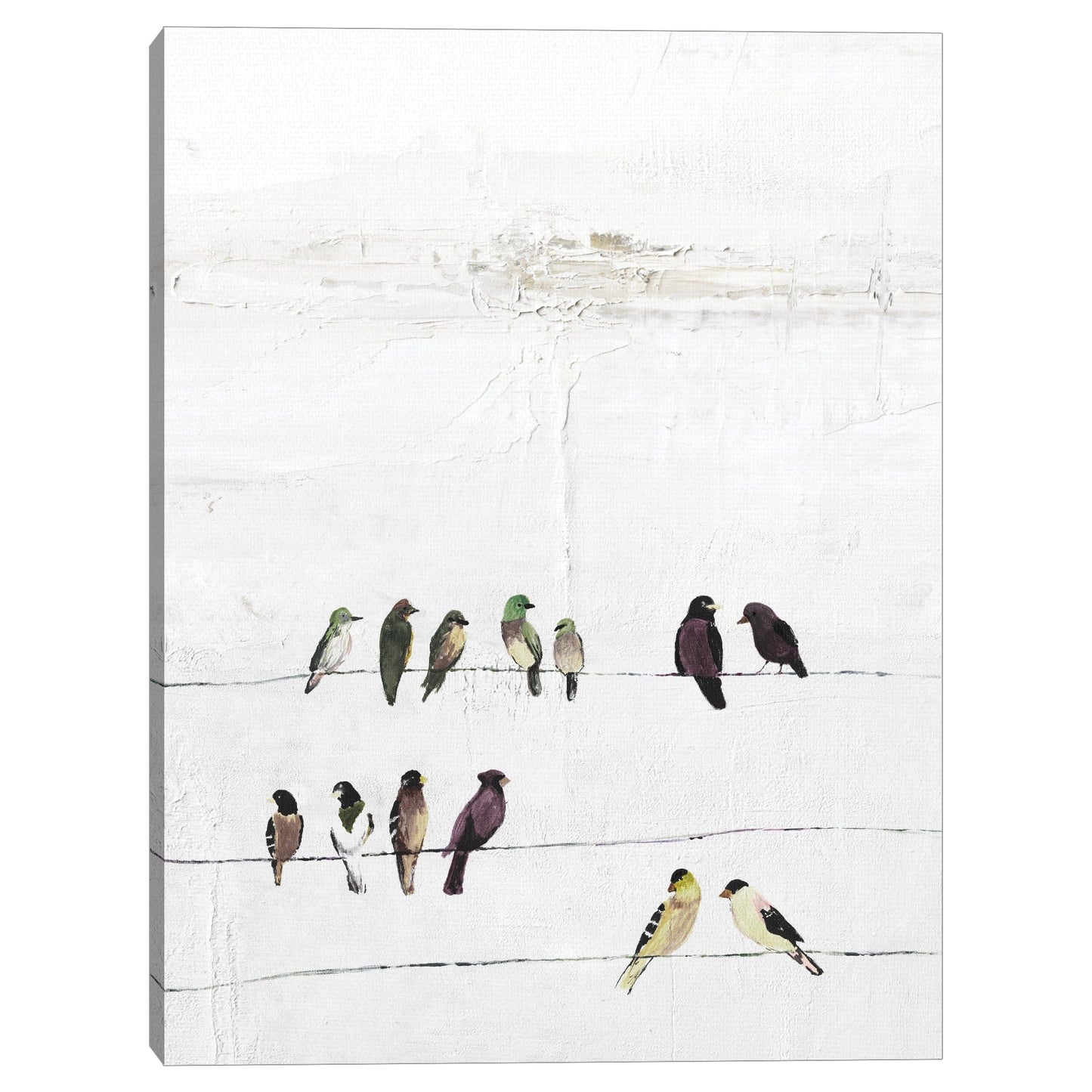 Pájaros en un alambre - Belle Maison