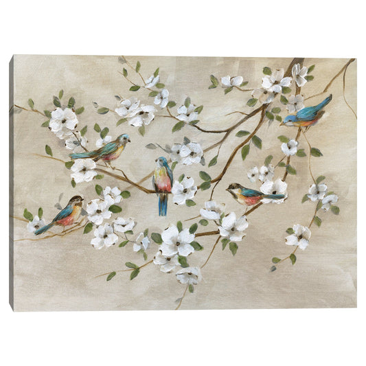 Pájaros de un plumaje - Nan