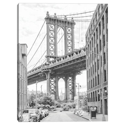 Dumbo - Matt Briant