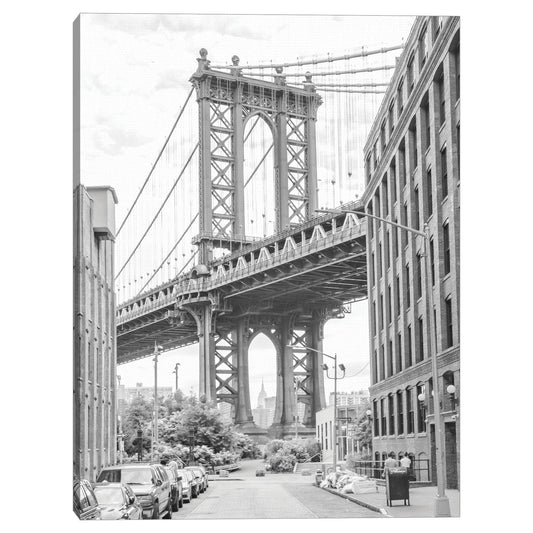 Dumbo - Matt Briant