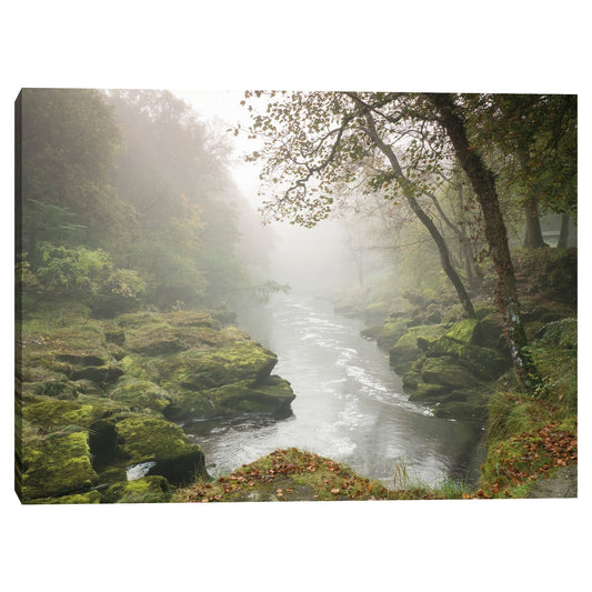 Borde del arroyo verde - Nocturna