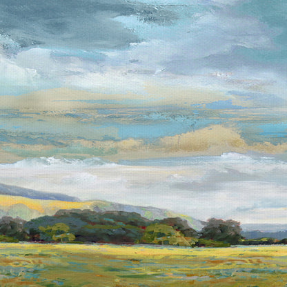 Picazón - Paul Duncan
