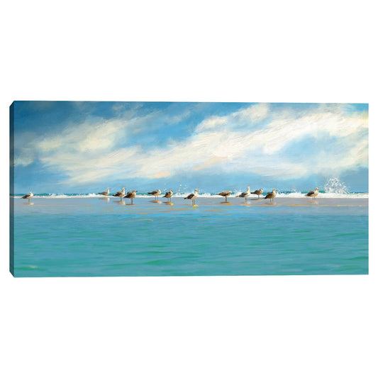Recoleccion de gaviotas - Studio Arts