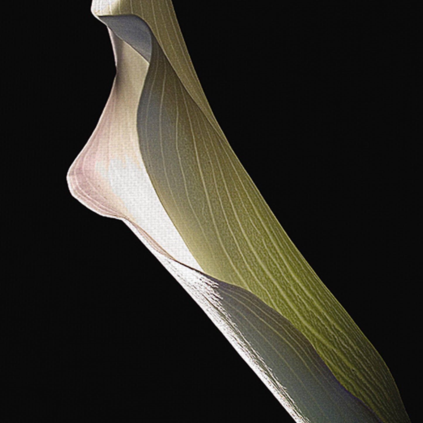 Calla Lirios Panel I - Lependorf-Shire