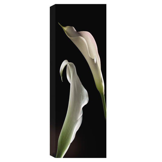 Calla Lirios Panel II - Lependorf-Shire
