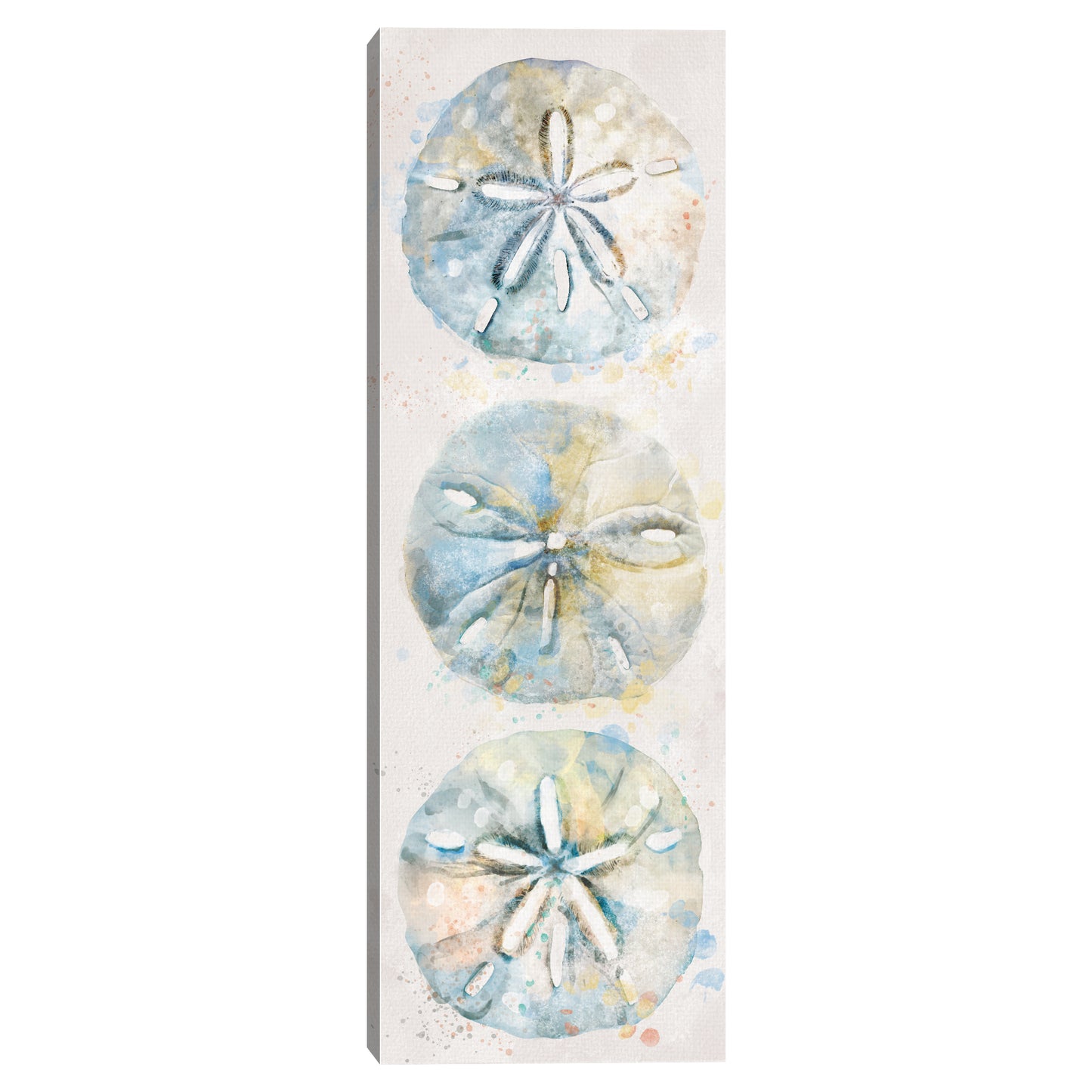 Panel de concha III - Studio Arts