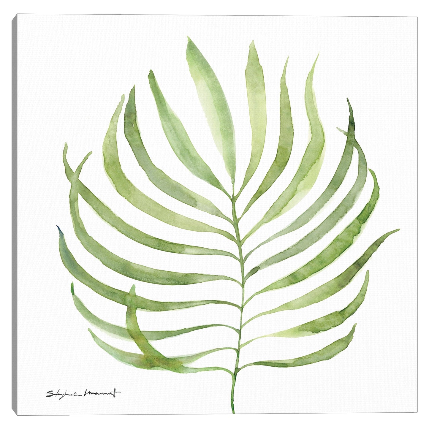Acuarela Palma Verde - Stephanie Marrott