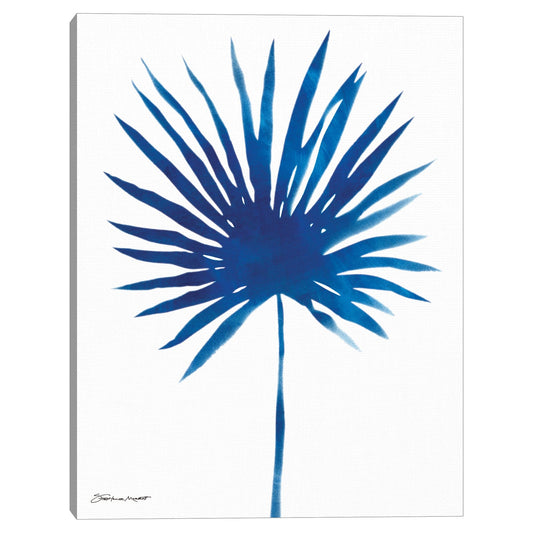 Palma azul Bismark - Stephanie Marrott