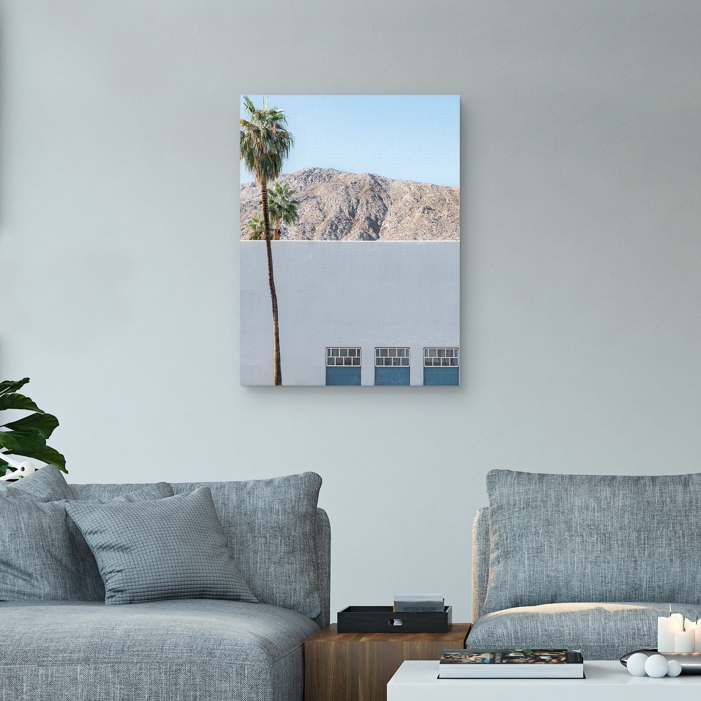 Ventanas de palmeras - AM Photography
