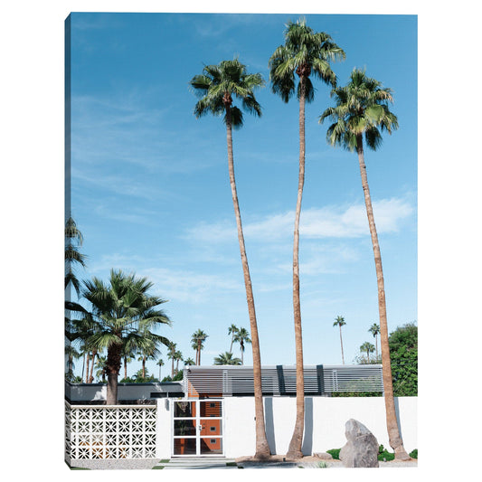 Tres Palmas - AM Photography