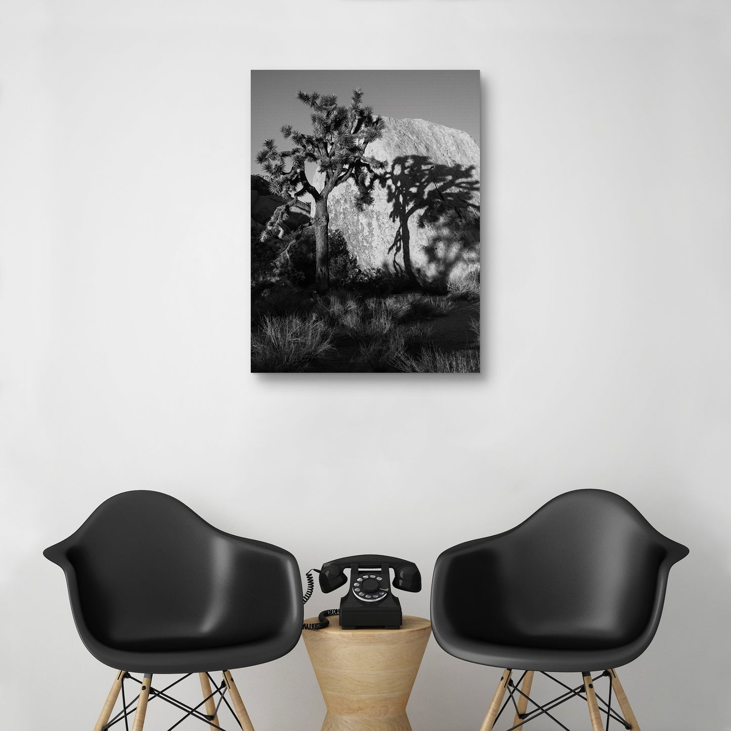 Sombra de arbol - AM Photography
