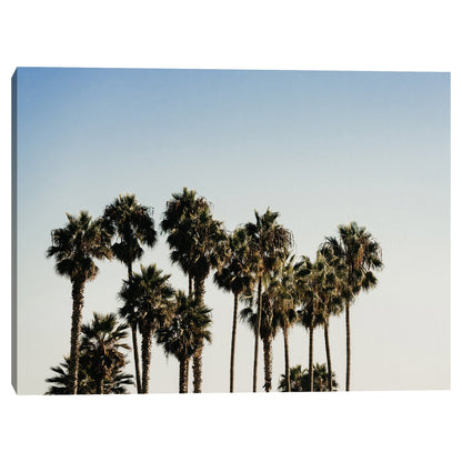 Palmas de California - Christine Beadnell