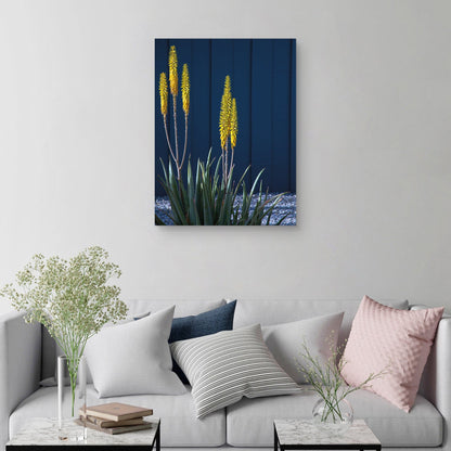Barrio de Palm Springs - Zandria Muench Beraldo