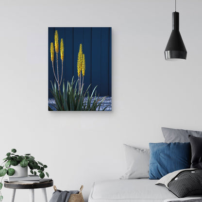 Barrio de Palm Springs - Zandria Muench Beraldo