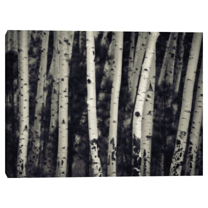 Abedules - Jamie Cook