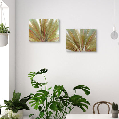 Isla Oros II - Studio Arts